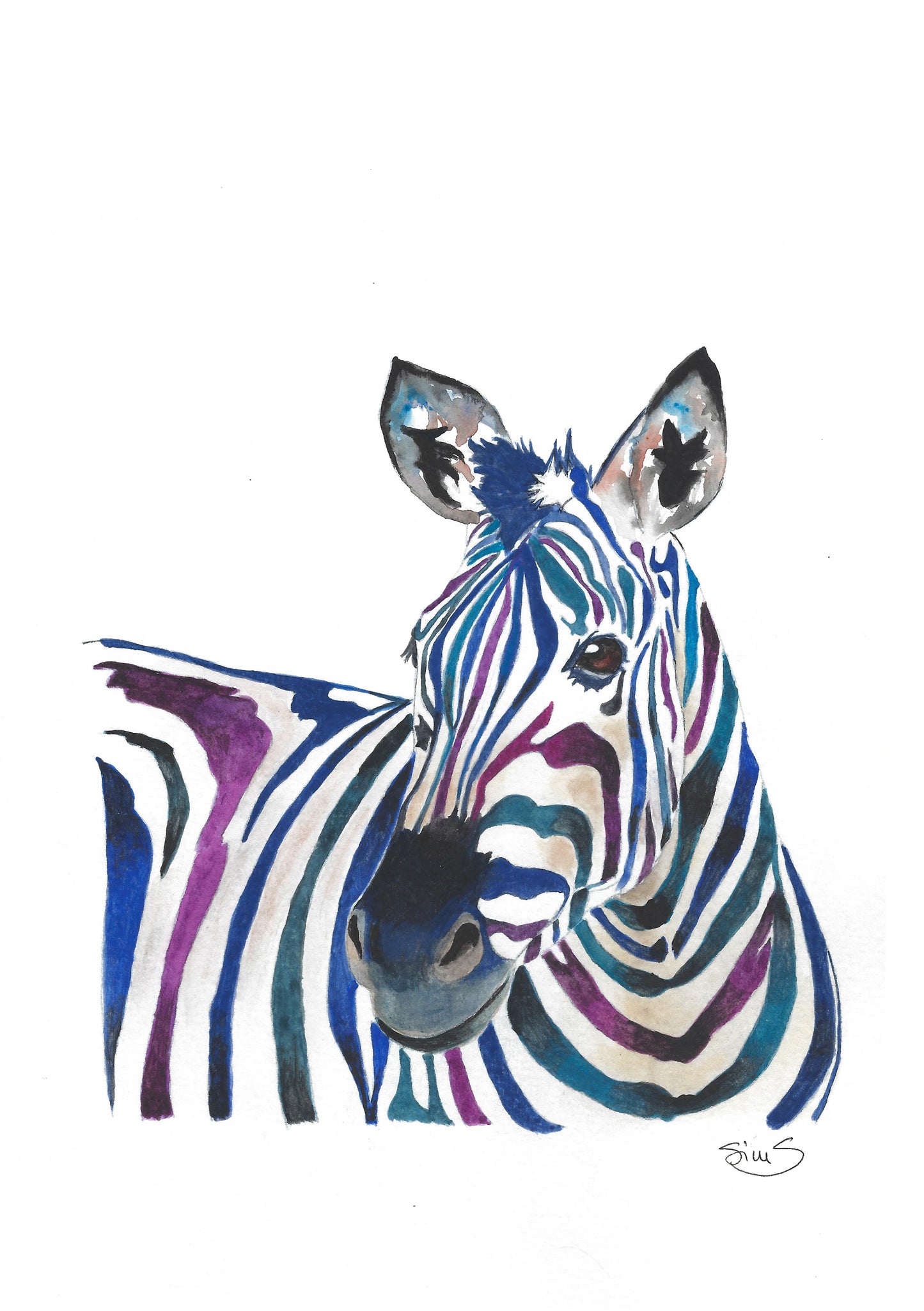 Zebra Art Print