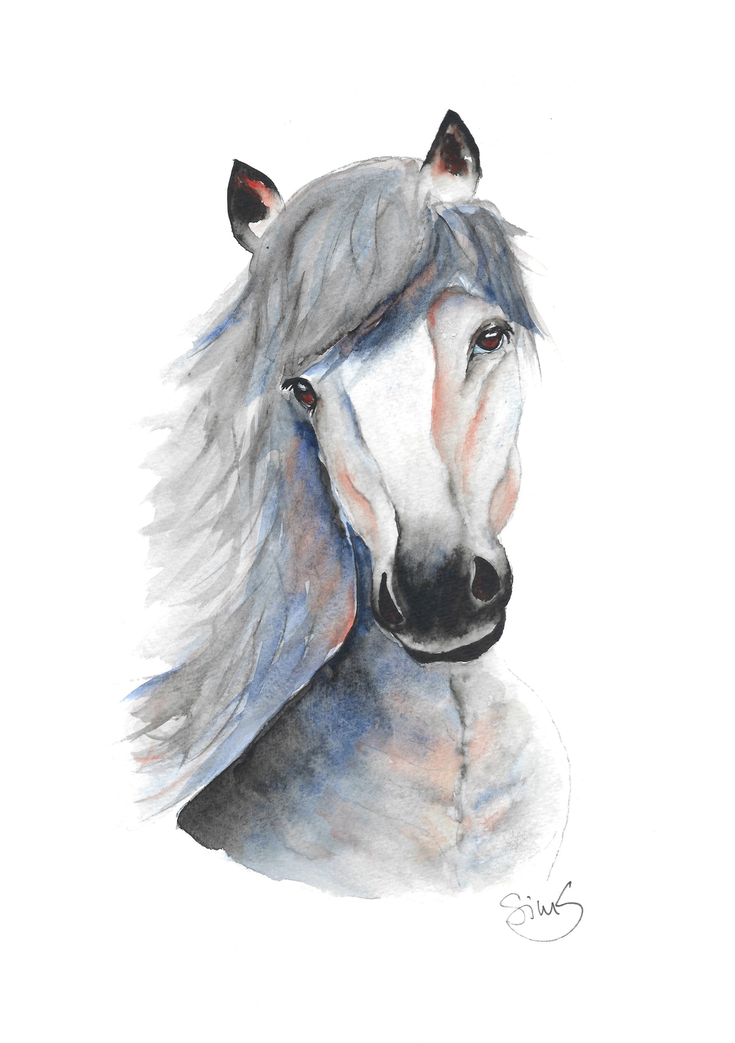 Horse Art Print