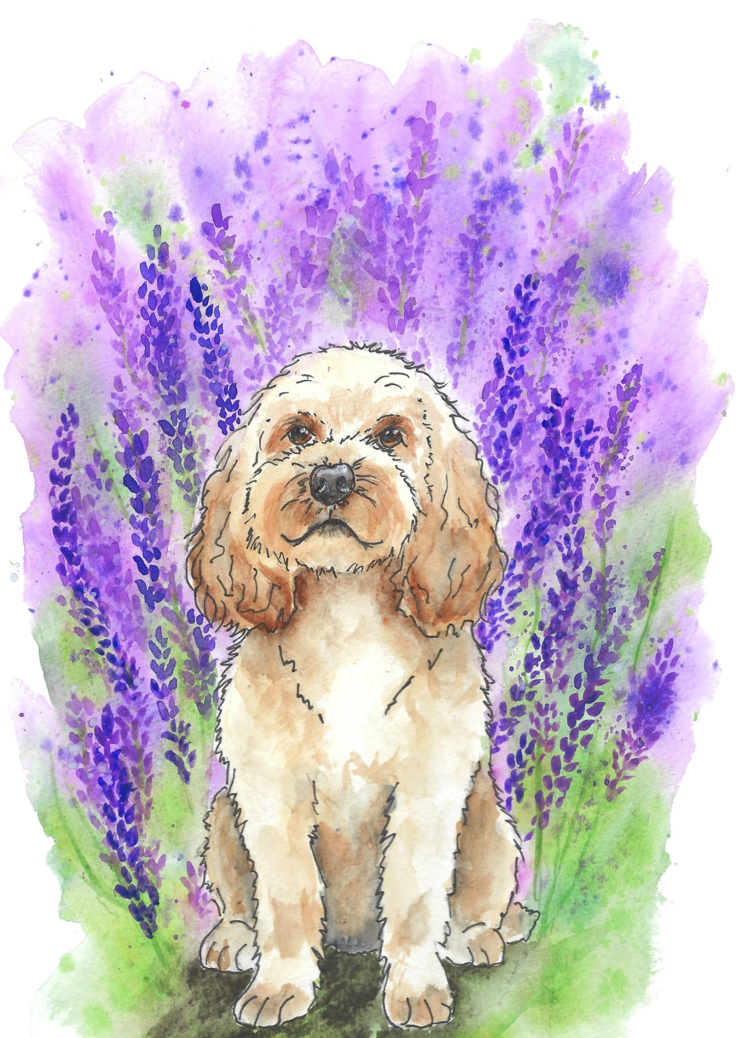 Cockapoo Lavender Greeting Card