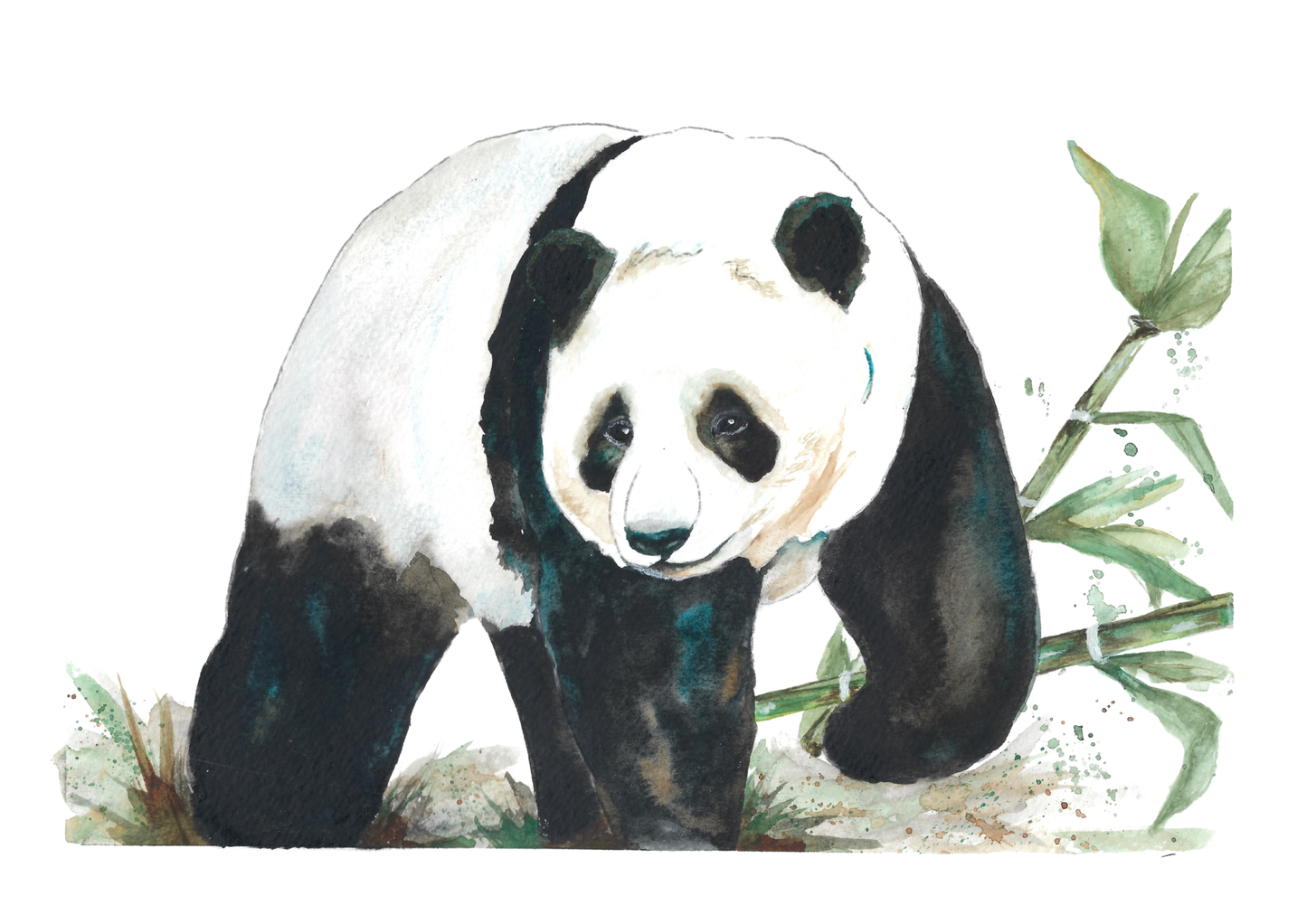 Panda2 Art Print