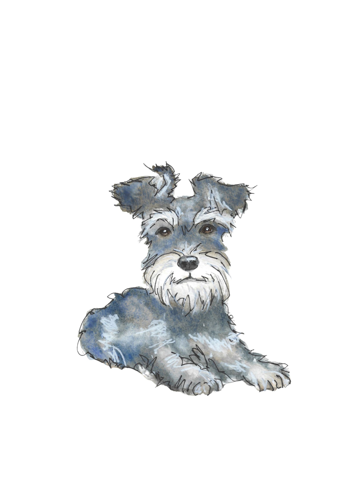 Schnauzer Art Print