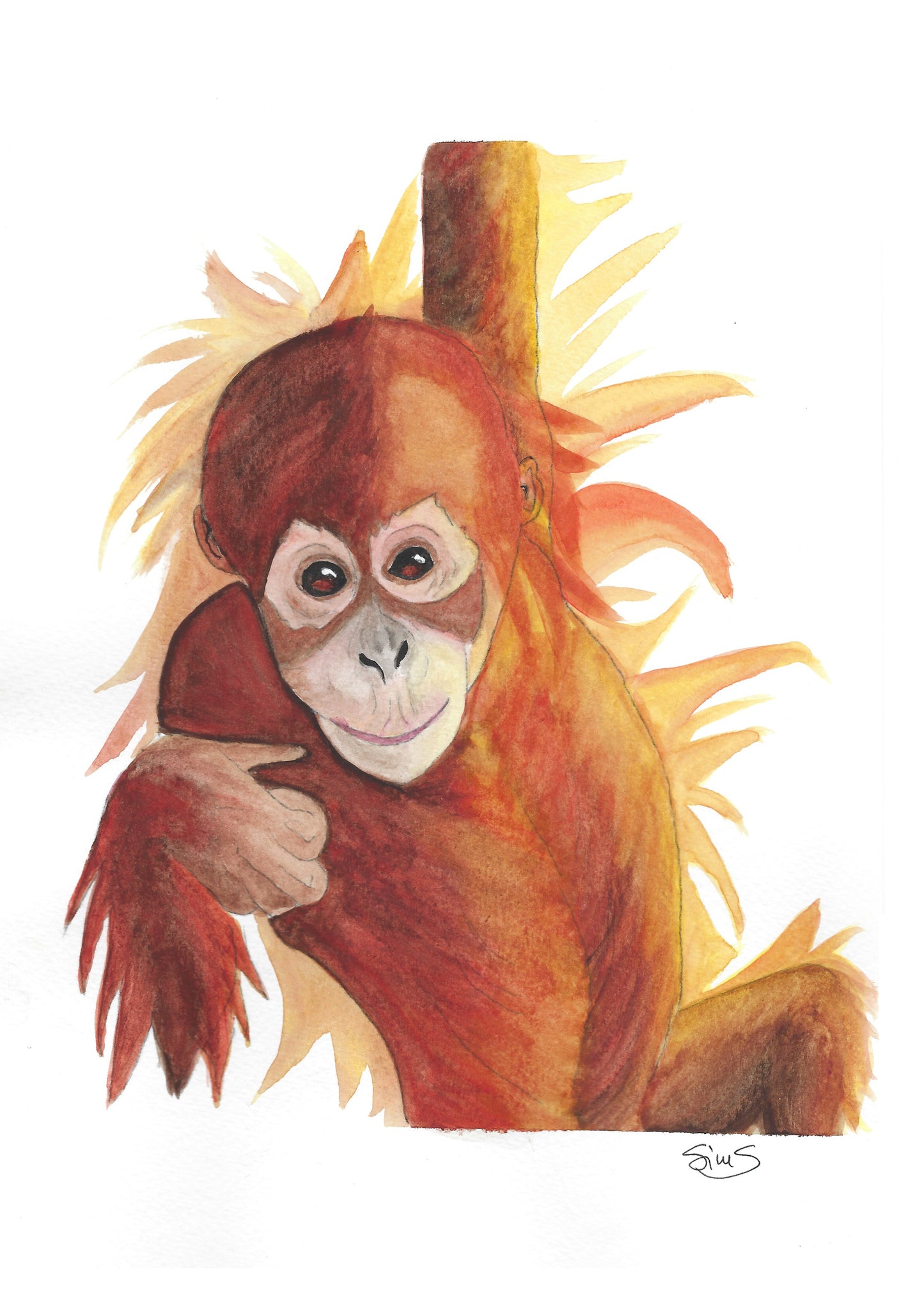 Orangutan Art Print