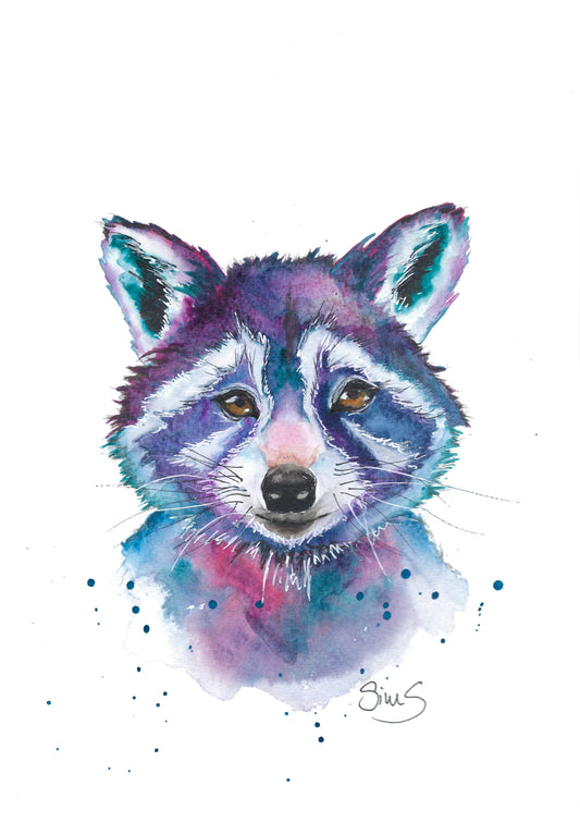 Racoon Art Print