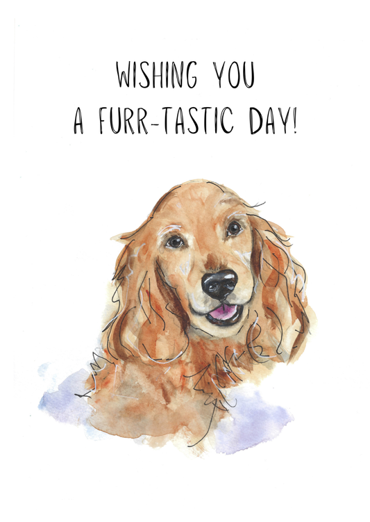 Dog Greeting Card Cocker Spaniel