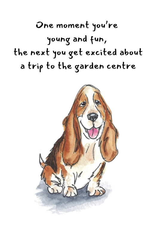 Basset Hound Dog Greeting Card (sku DBH)