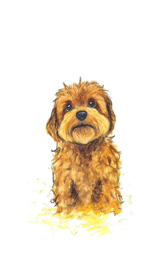 Cockapoo Art Print