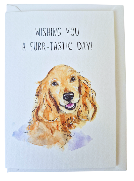Dog Greeting Card Cocker Spaniel