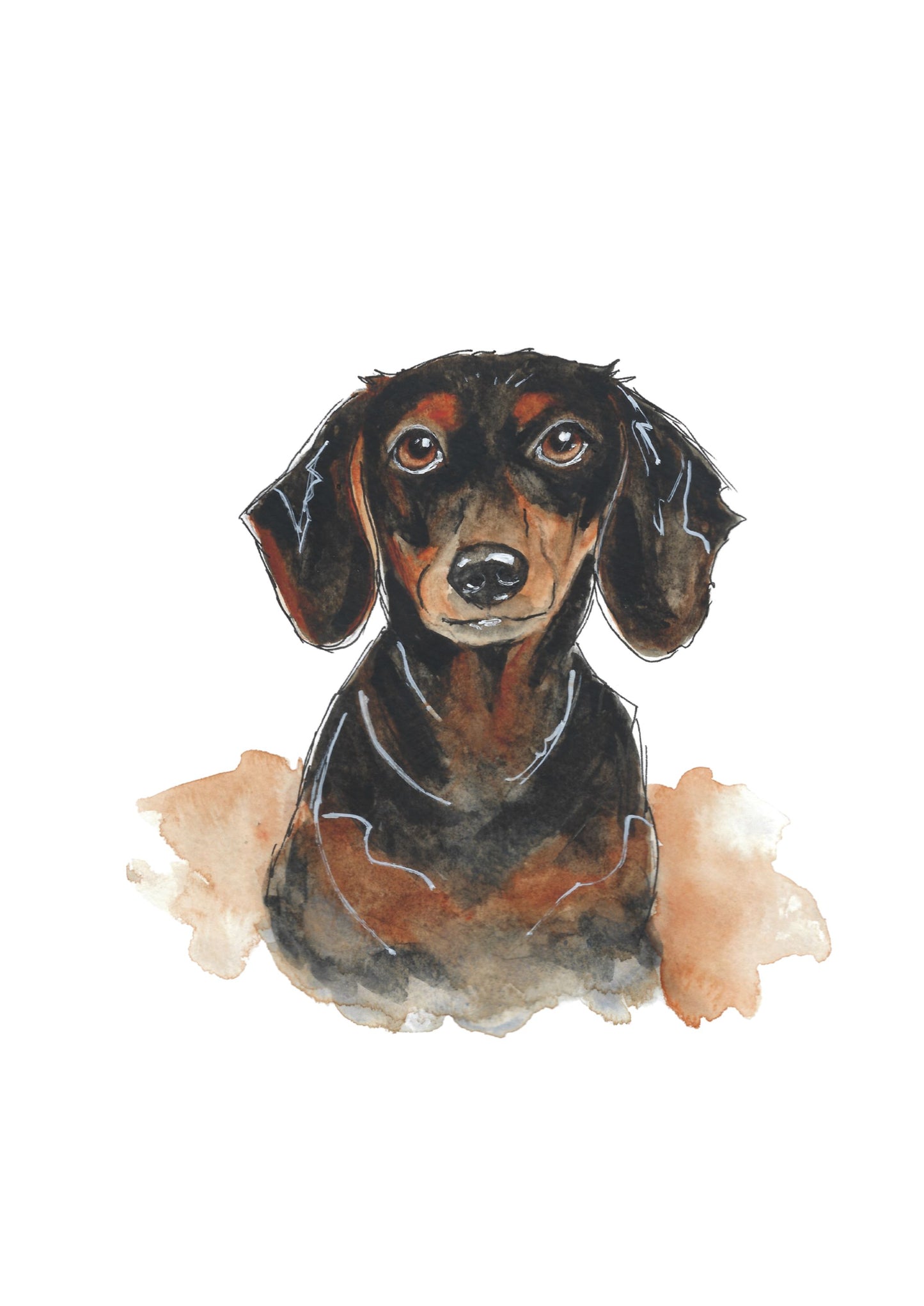 Dachshund Art Print