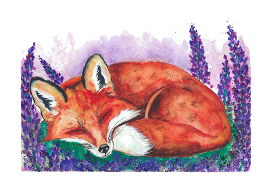 Fox in lavender Art Print