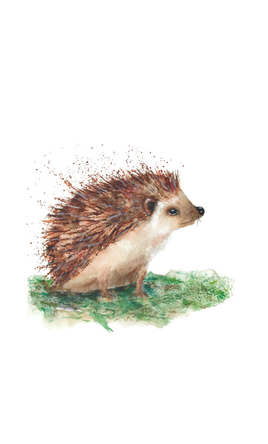 Hedgehog2 Art Print