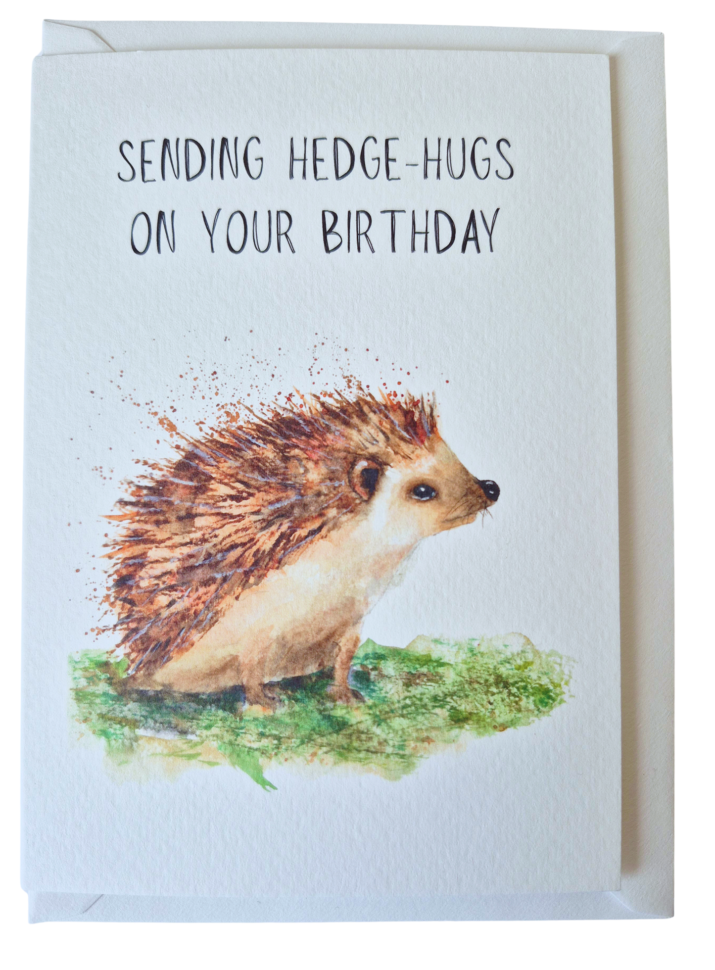 Woodland Hedgehog2 Greeting Card