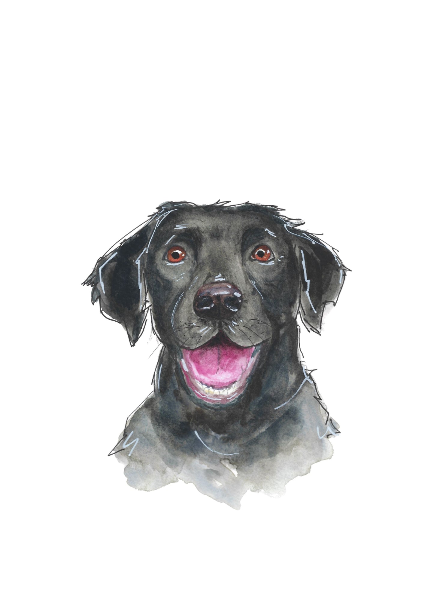 Labrador Art Print