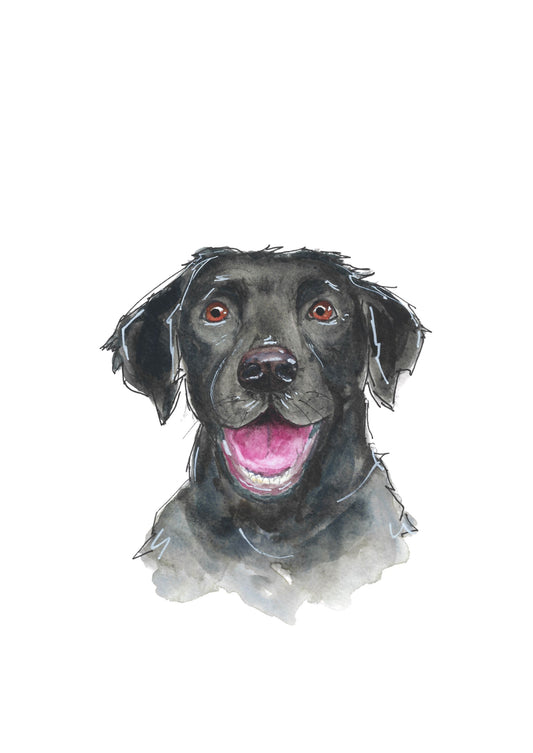Labrador Art Print