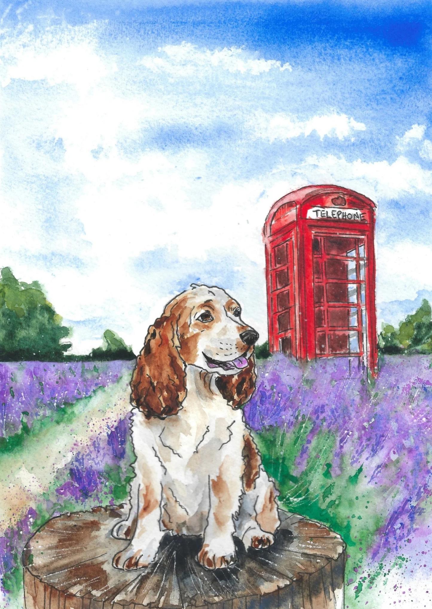Spaniel Lavender Greeting Card